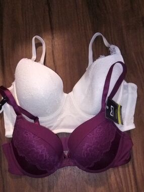 Maidenform Lace Push-Up Bra Duo in White and Plum